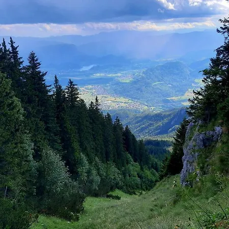 Alpine *