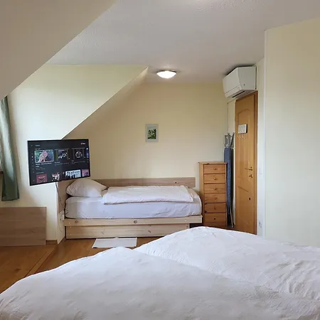 Alpine Apartment Bled
