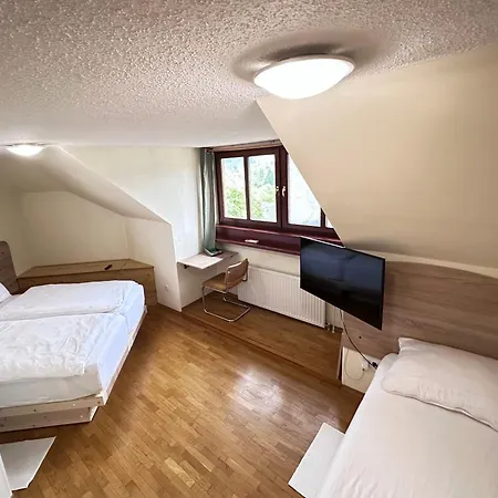 Alpine Apartman *