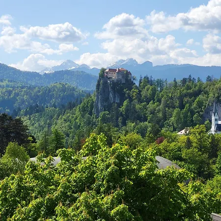 Apartman Alpine *
