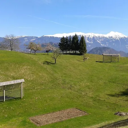 Alpine Bled