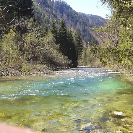 Alpine Bled