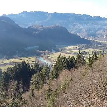 Alpine