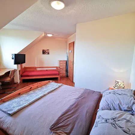 Apartment Alpine
