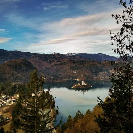 Alpine * Bled